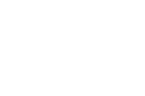 Logo Inicio Figuras Blanco
