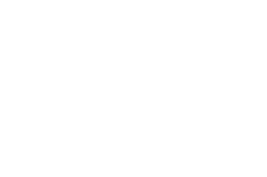 Logo Inicio Funko Blanco
